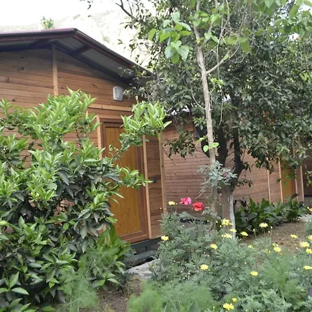 Mercan Homestay *