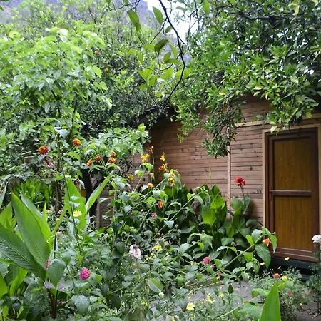 Homestay Mercan *